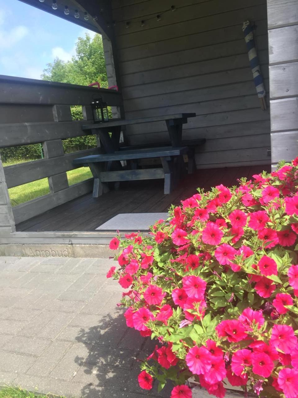 Domki Szenodo Na Jodlowej Debina  Bagian luar foto